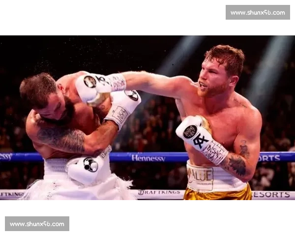 尤班克vs巅峰对决全面解析赛前看点与胜负悬念战术博弈拳坛风云